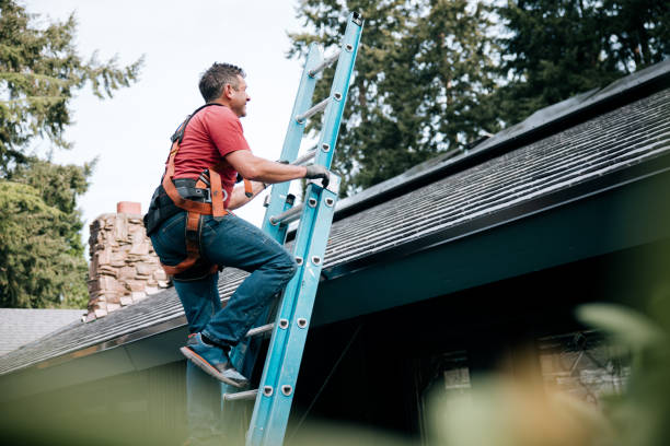 Best Rubber Roofing (EPDM, TPO)  in Schoolcraft, MI
