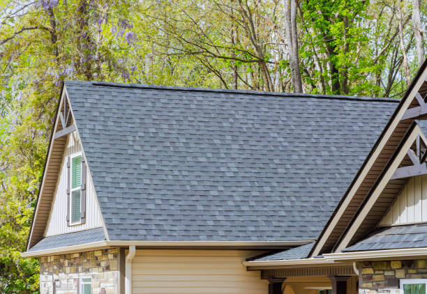 Best Roof Moss and Algae Removal  in Schoolcraft, MI