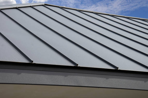 Best Flat Roofing  in Schoolcraft, MI