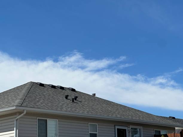Best Metal Roofing Installation  in Schoolcraft, MI